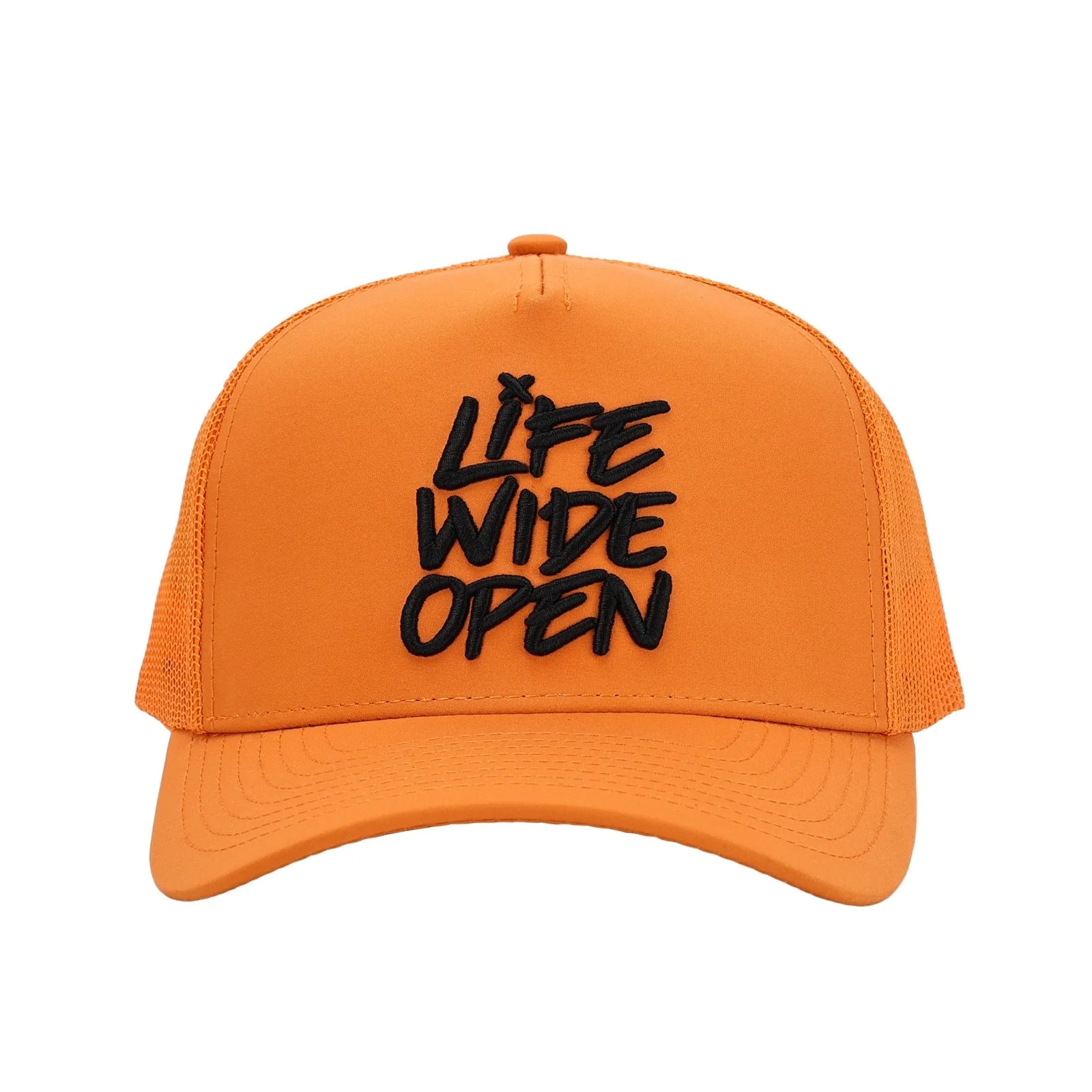 LWO BLAZE Curved Brim Hat - Image 3